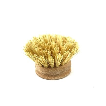 Recharge brosse vaisselle fibre