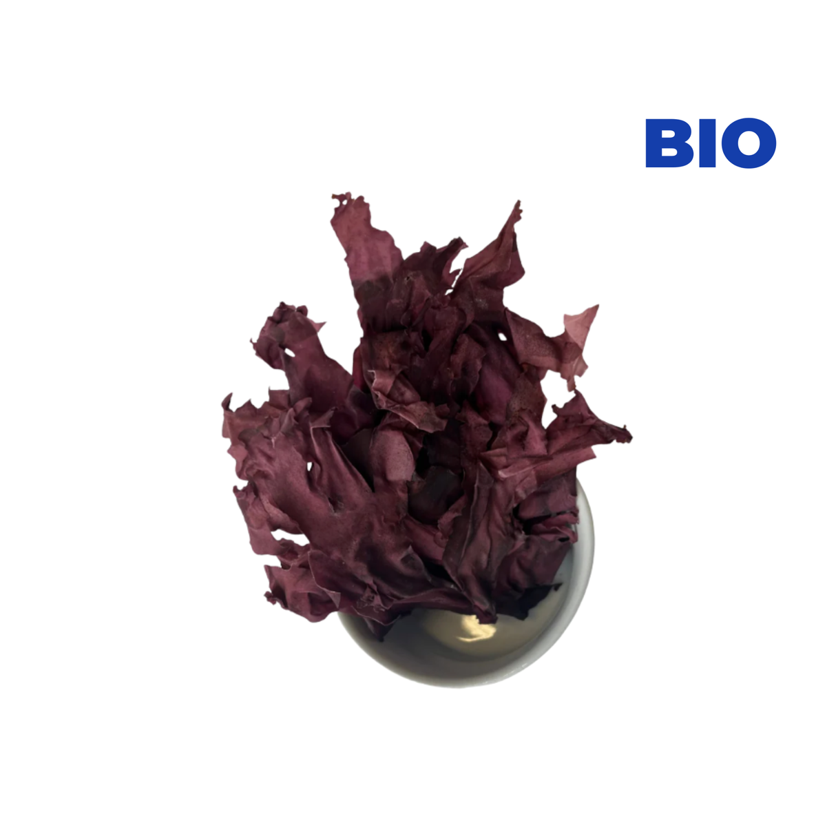 Dulse feuilles BIO