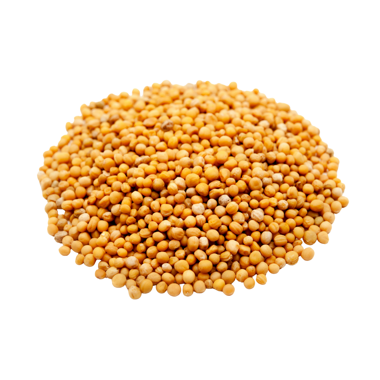 Graines de moutarde BIO