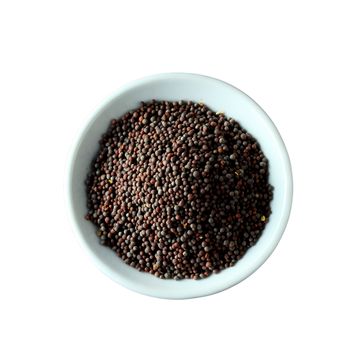 Graines de moutarde noire