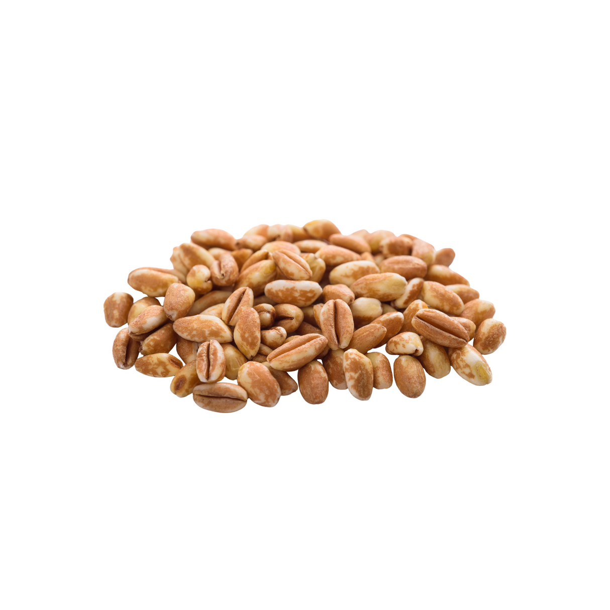 Graines de petit épeautre BIO