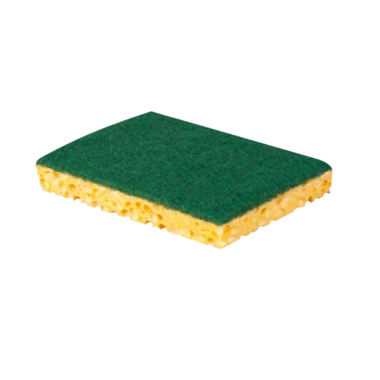 Grandes éponges végétales grattantes - Lot de 10
