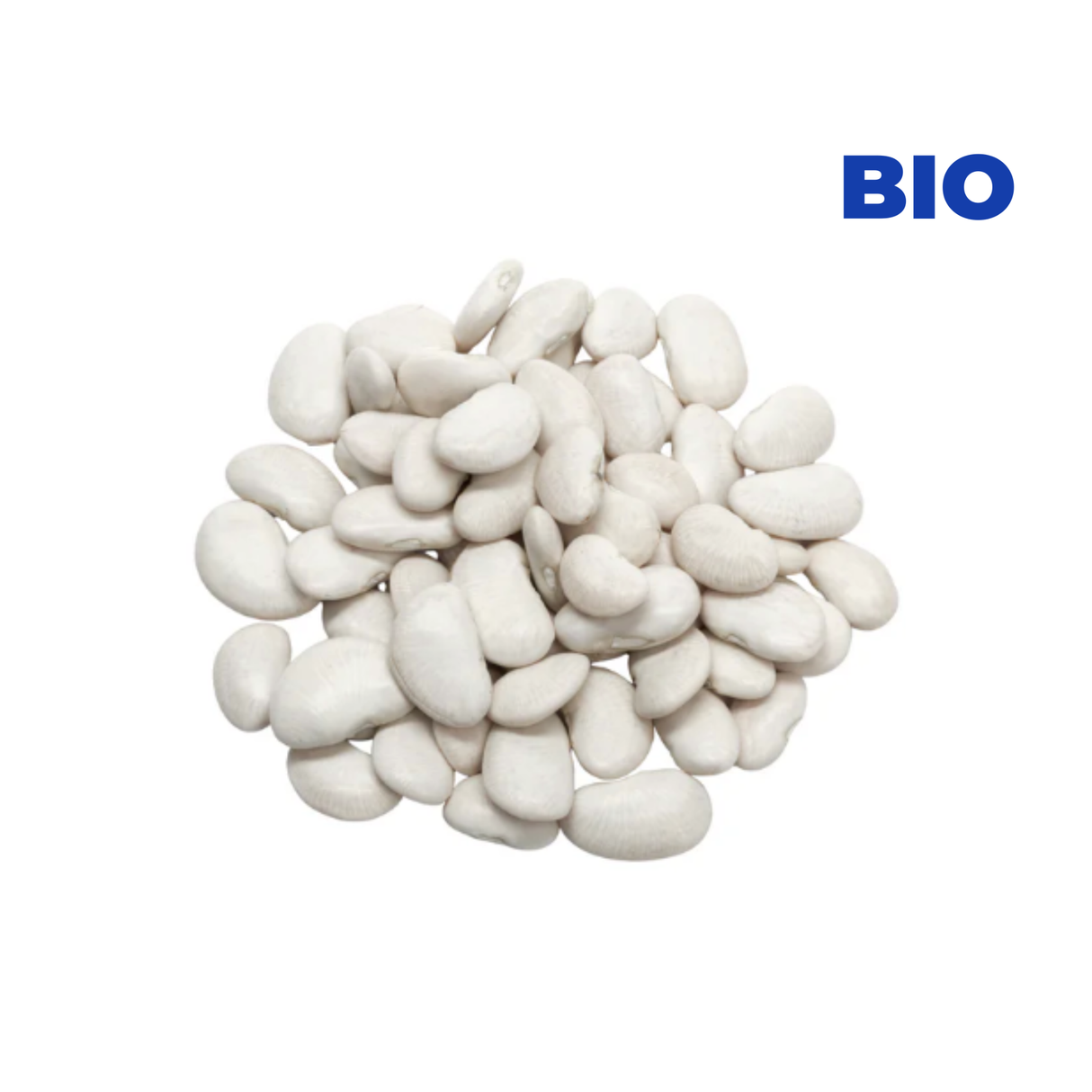 Haricots blancs BIO