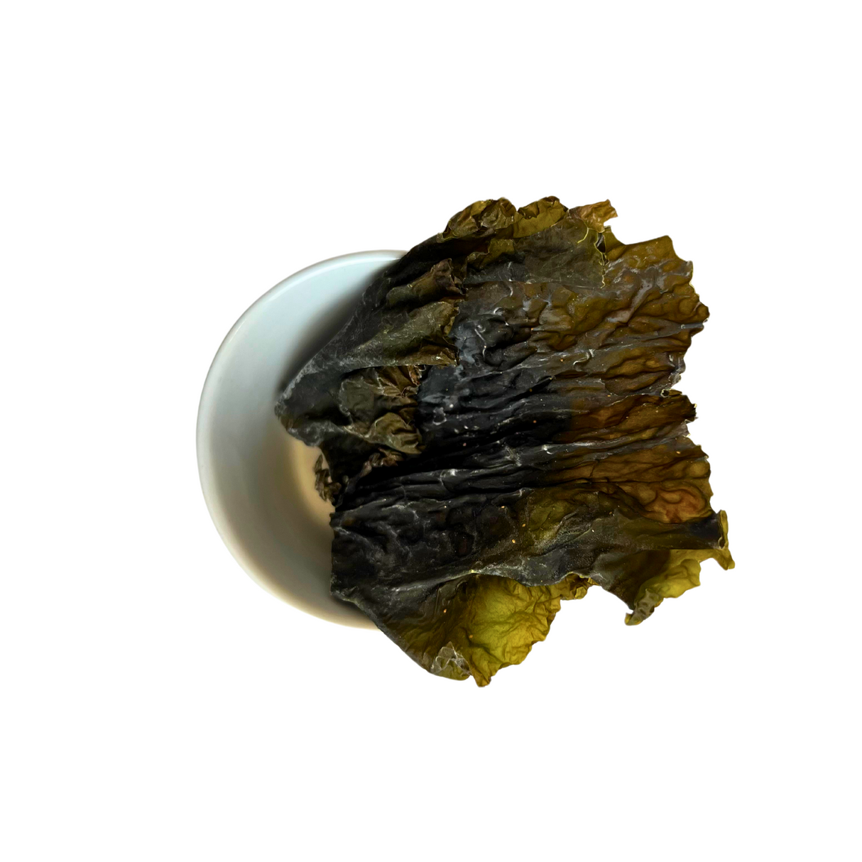 Kombu Royal feuilles Bio