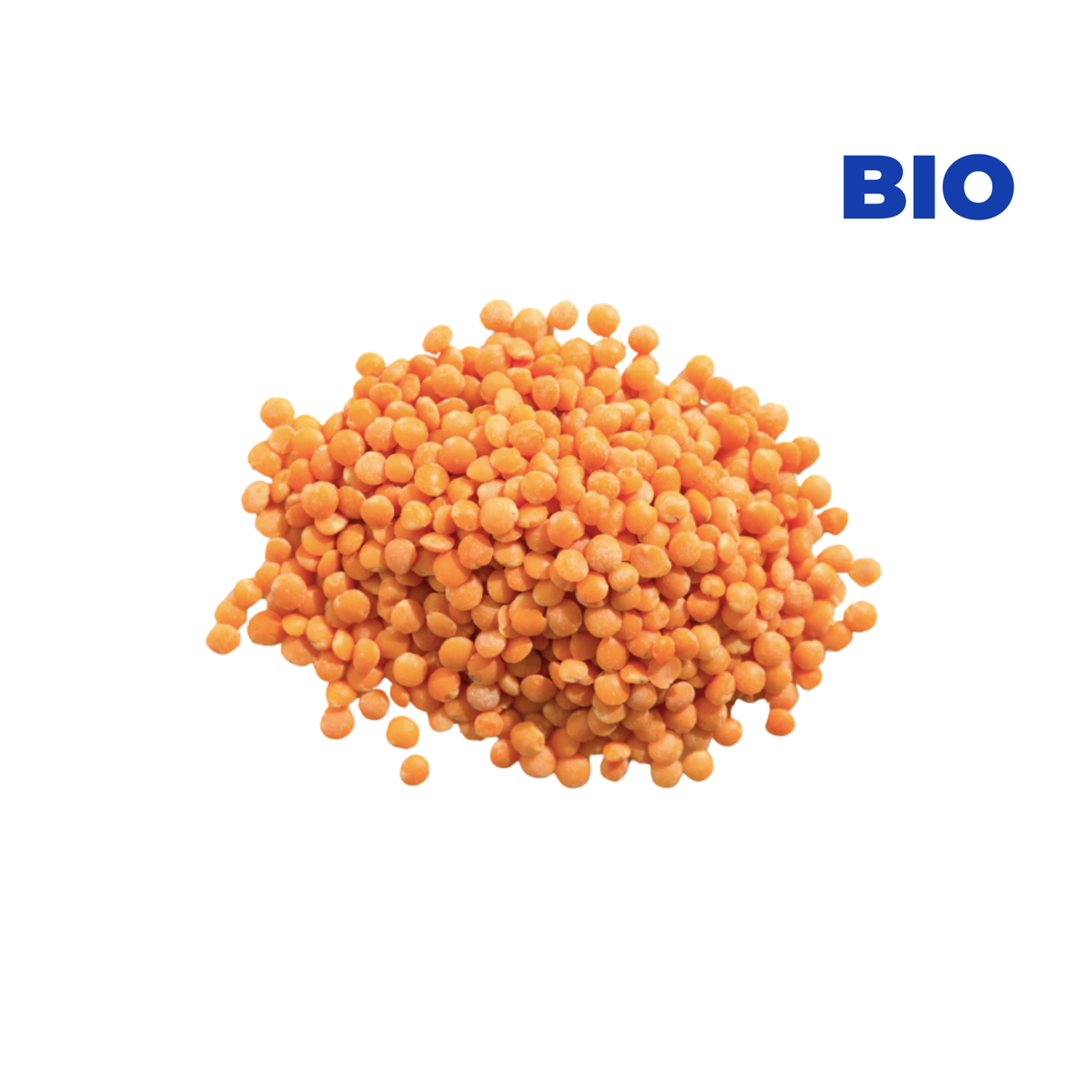 Lentilles corail BIO de Mayenne