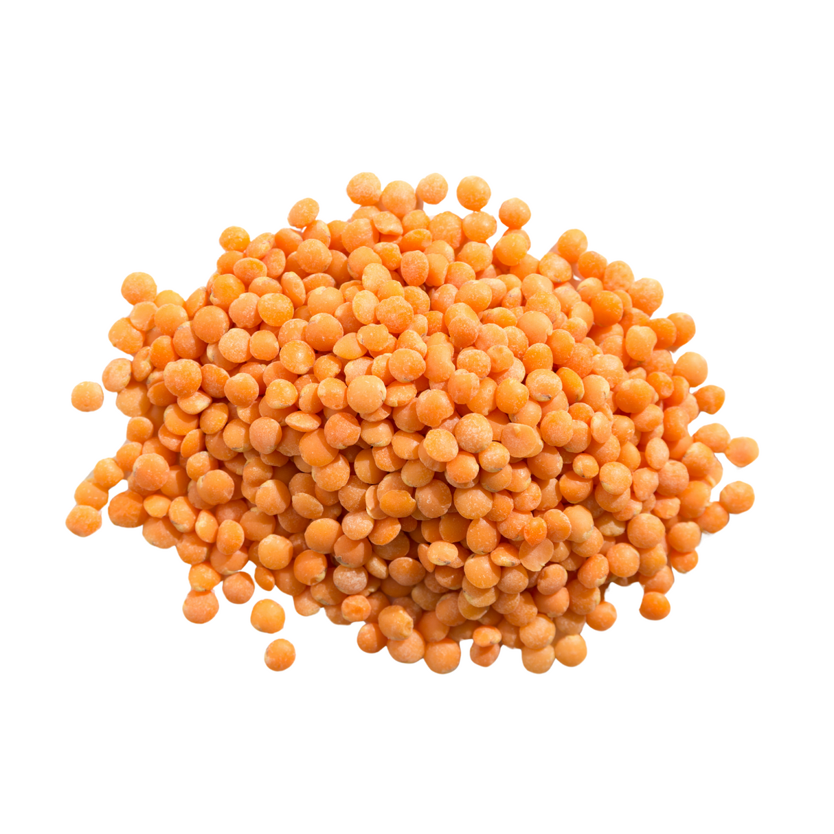 Lentilles corail BIO de Mayenne