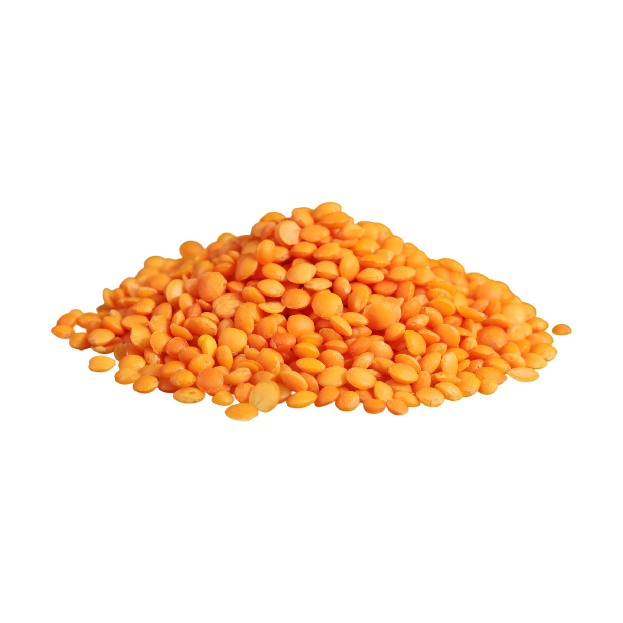 Lentilles corail BIO