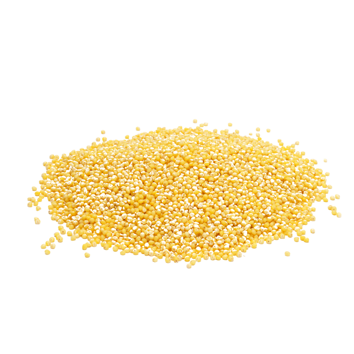 Millet décortiqué BIO