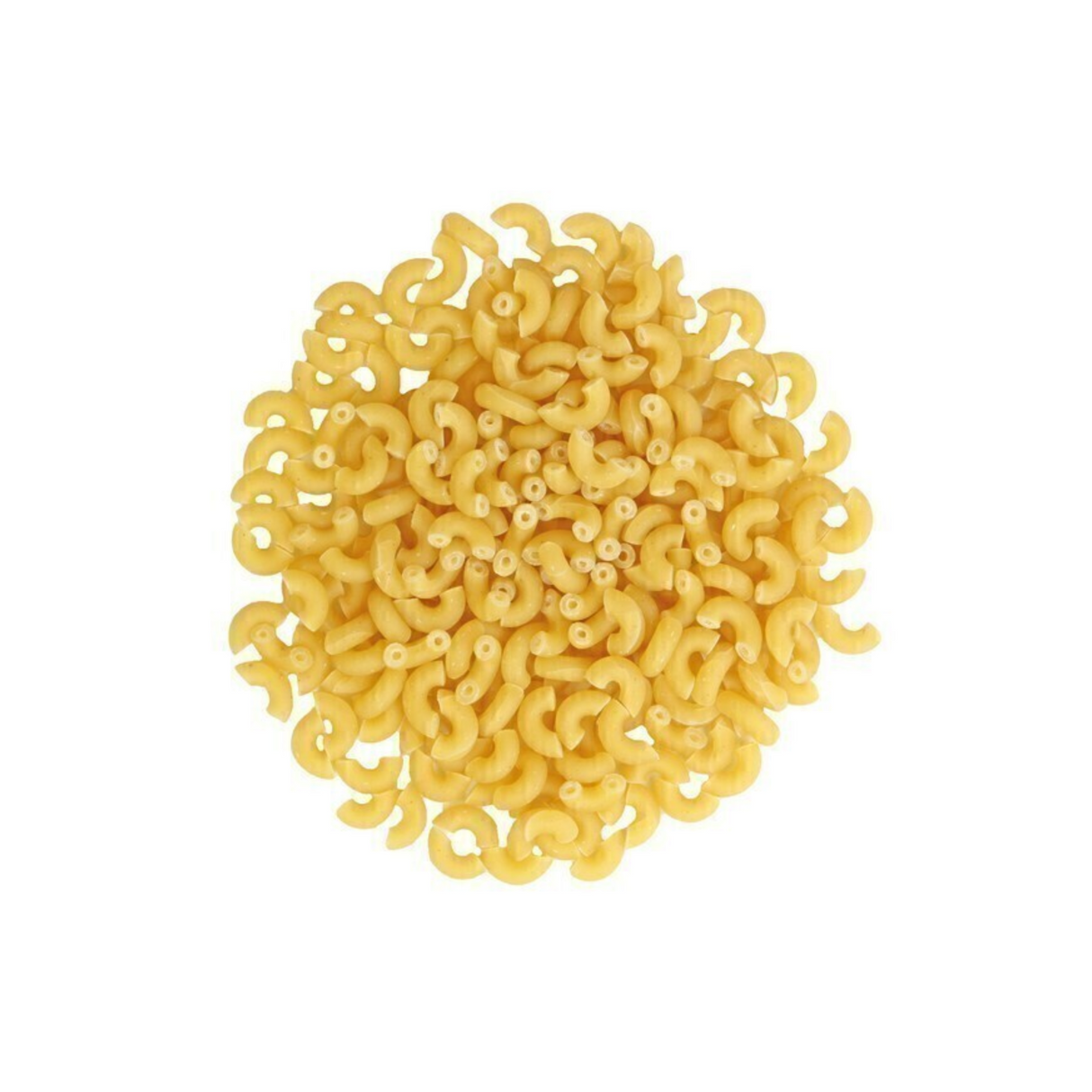 Coquillettes blanches