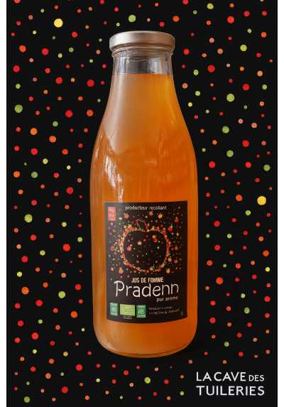 Jus de pommes BIO 1L Ferme de Pradenn (35) - Terres De Sources