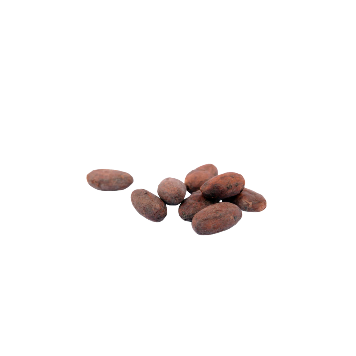 Fèves de cacao entières