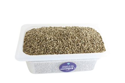 Graines de chanvre BIO