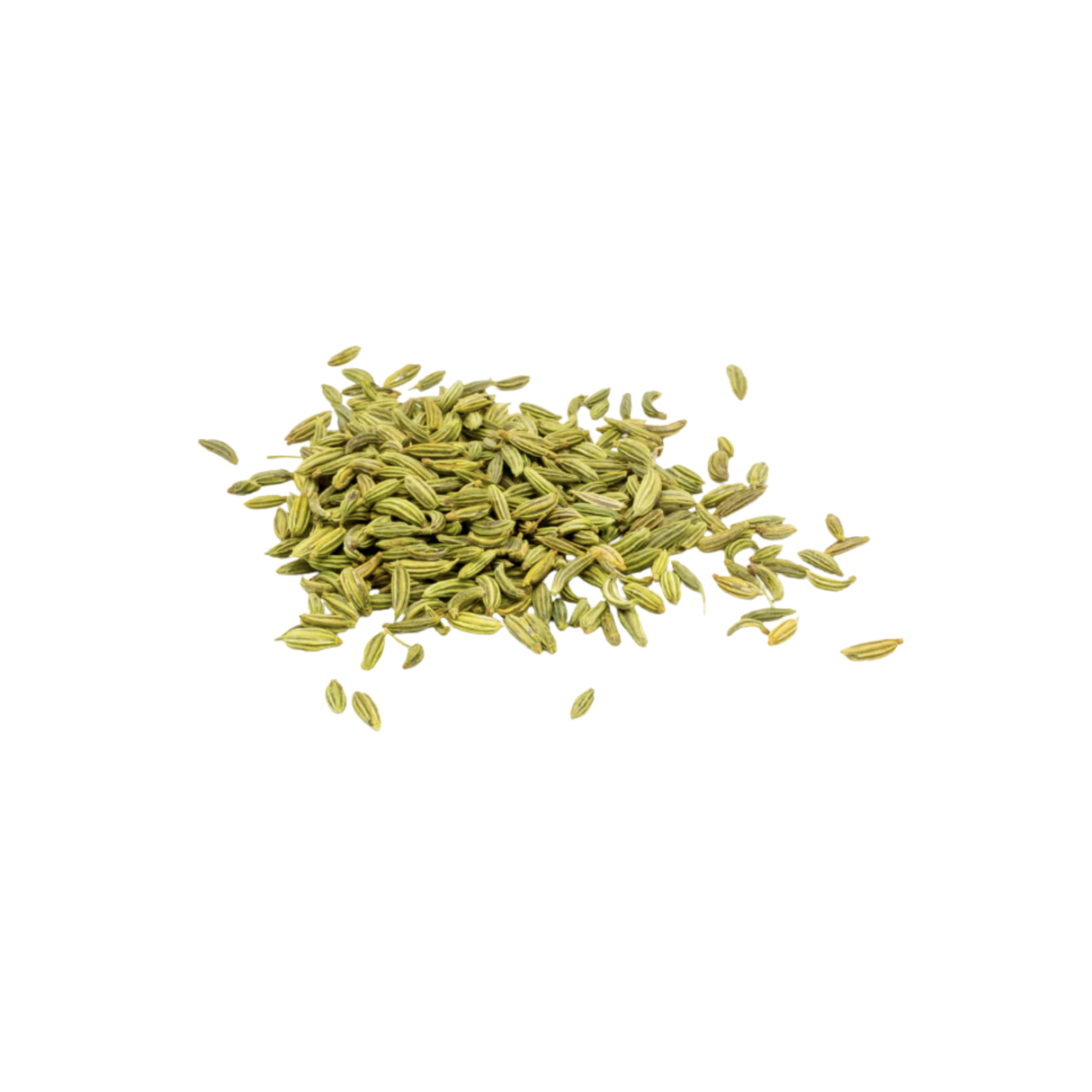 Graines de fenouil