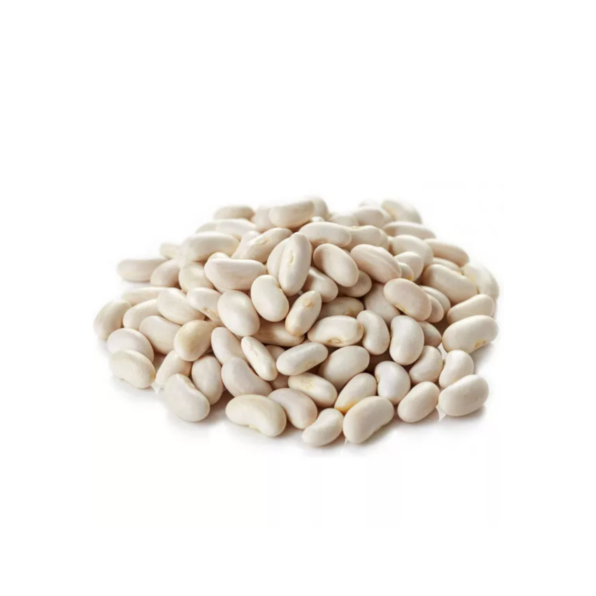 Haricots coco blancs