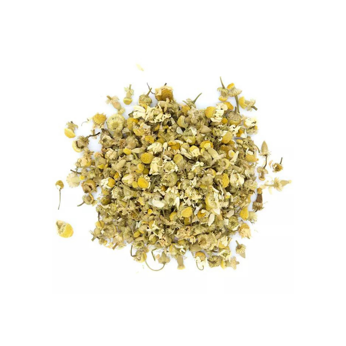 Fleur de camomille matricaire