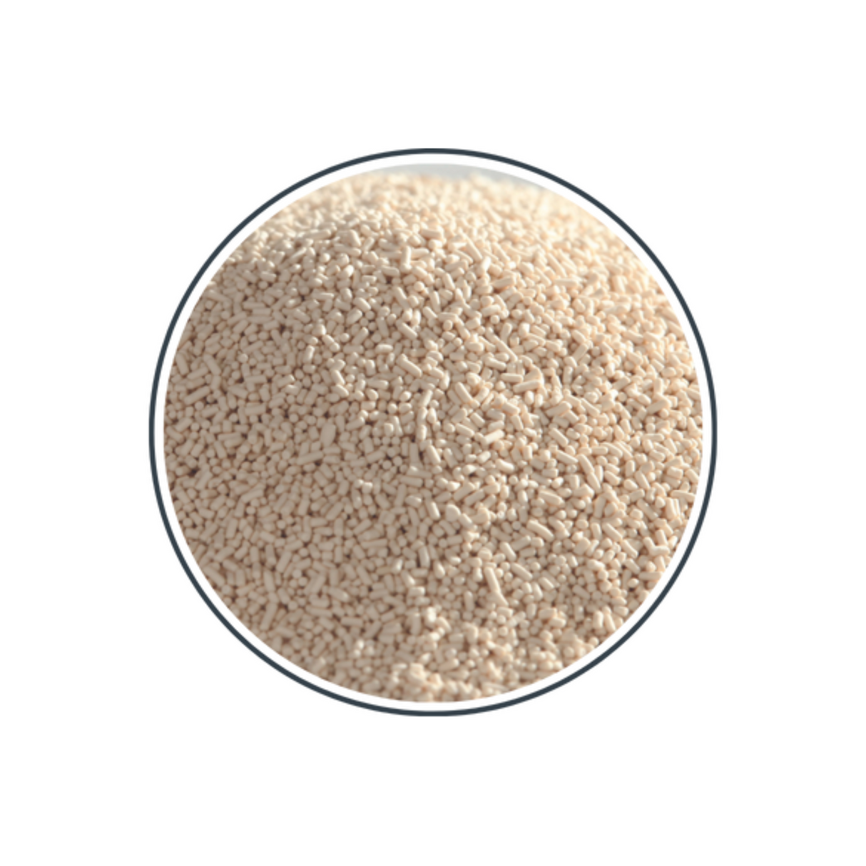 Levure boulangère sèche