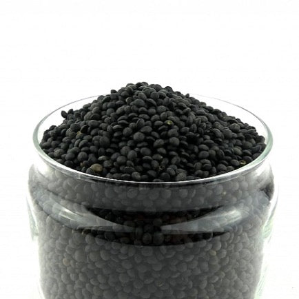 Lentilles noires Beluga BIO