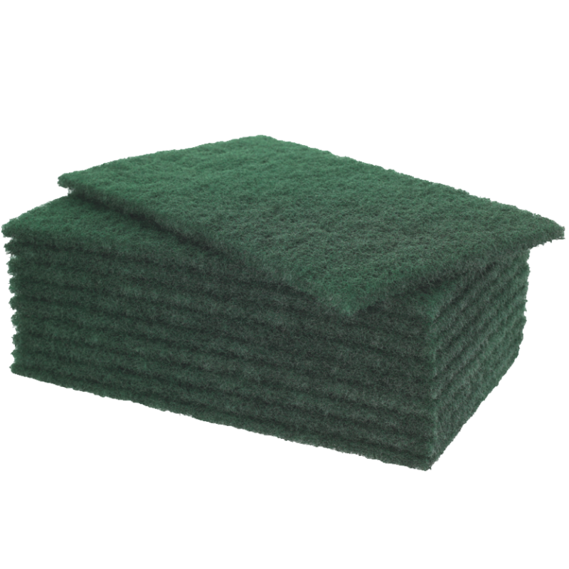 Tampons à récurer (10 unités)