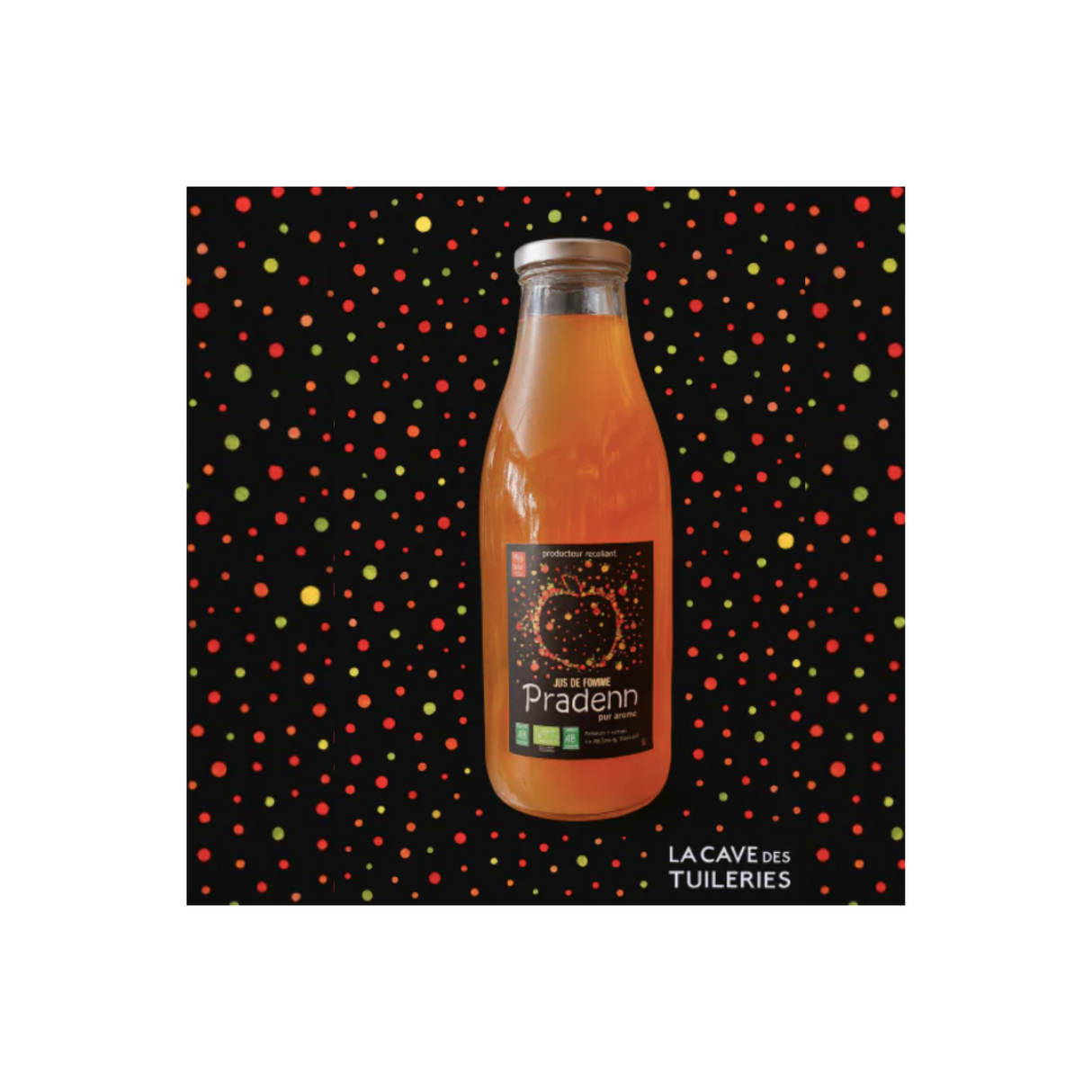 Jus de pommes BIO 1L Ferme de Pradenn (35) - Terres De Sources