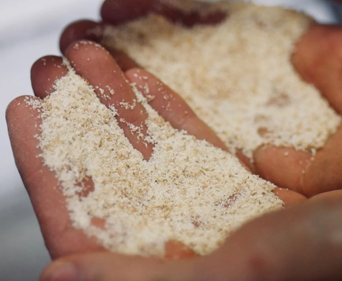 Farine de sarrasin - Terres de Sources (moulin de Champcors)