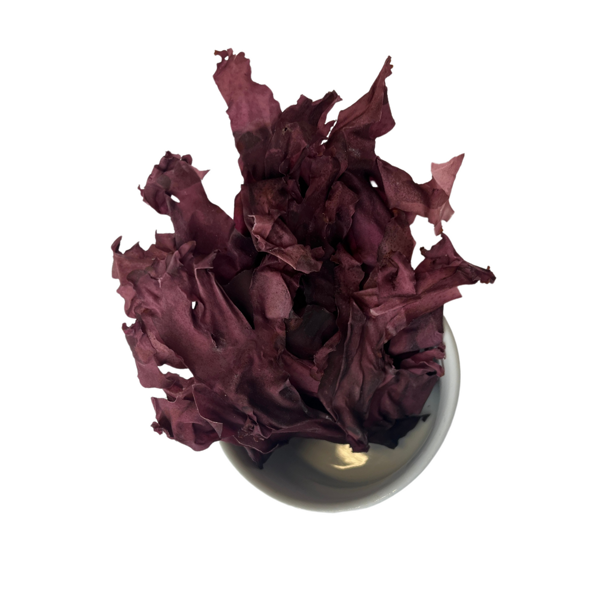 Dulse feuilles BIO