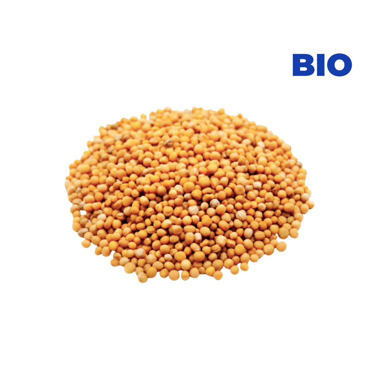 Graines de moutarde BIO