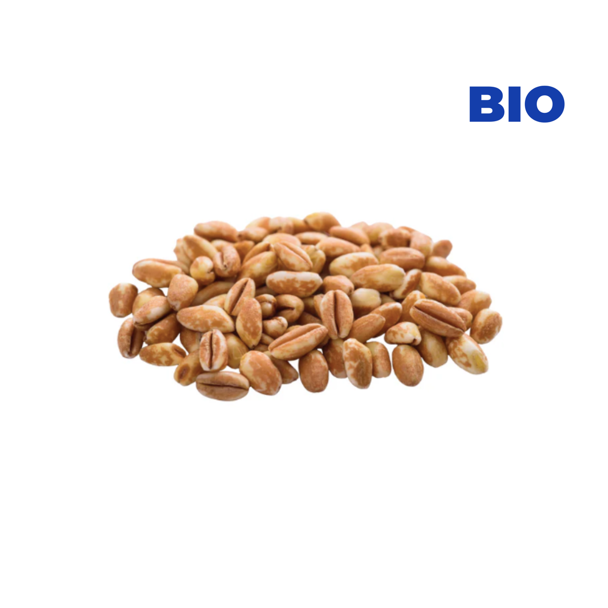 Graines de petit épeautre BIO