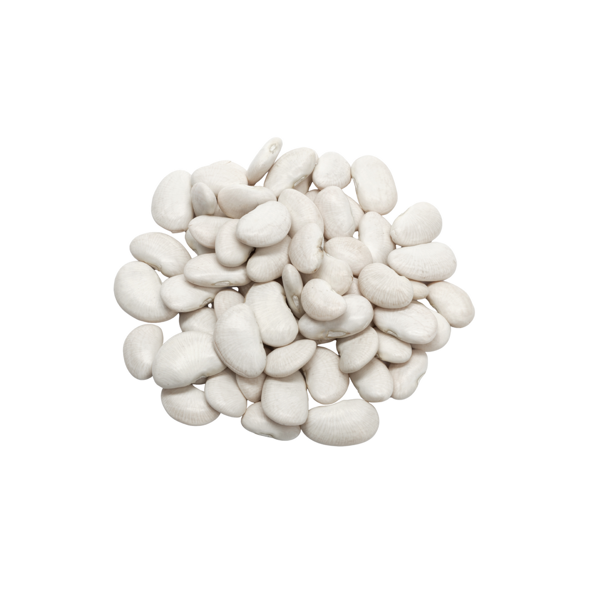 Haricots blancs BIO
