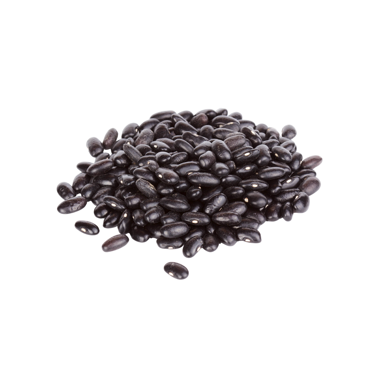 Haricots noirs BIO
