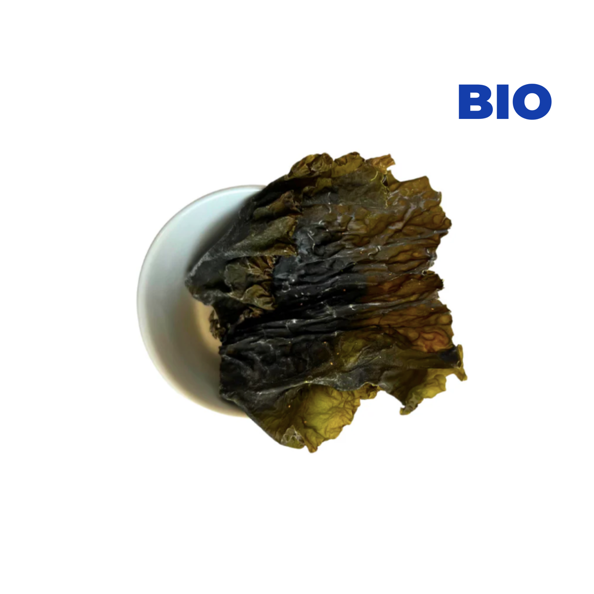 Kombu Royal feuilles Bio