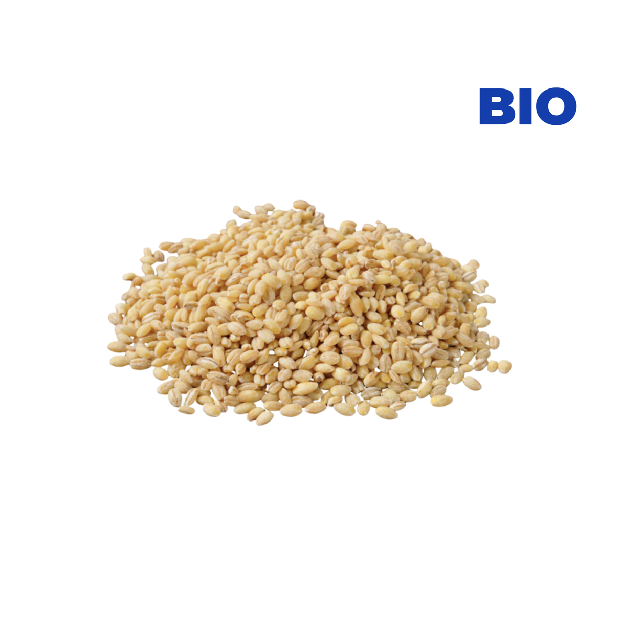 Orge mondé BIO