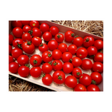 Tomates cocktails de Mylène et Jérémy - Anti Gaspi