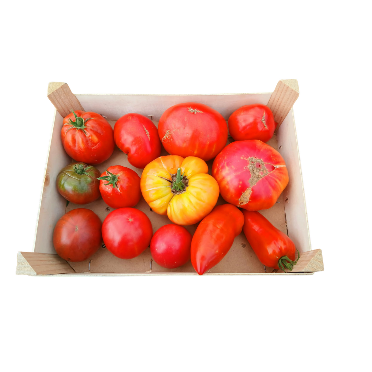 Tomates anciennes de Mylène et Jérémy - Anti Gaspi