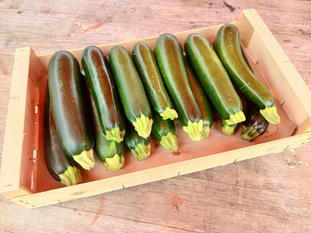 Courgettes de Mylène et Jérémy - Anti Gaspi