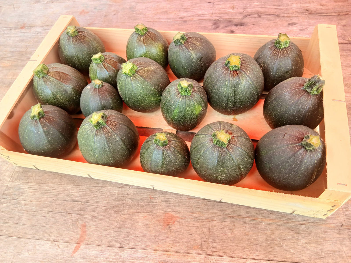 Courgettes de Mylène et Jérémy - Anti Gaspi