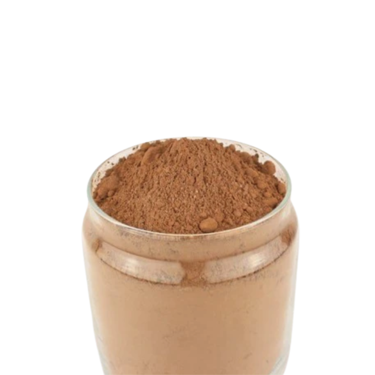 Chocolat poudre instantanée BIO